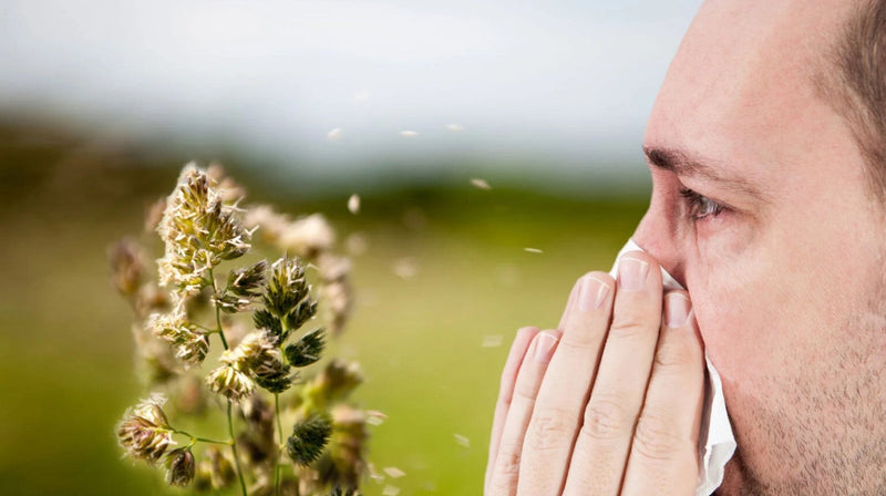 Síntomas de Alergia Primaveral : Tratamientos naturales con Probióticos