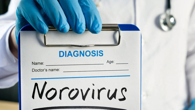 Norovirus: Qué es y cómo prevenirlo con probióticos naturales