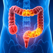 colonoscopia y microbiota